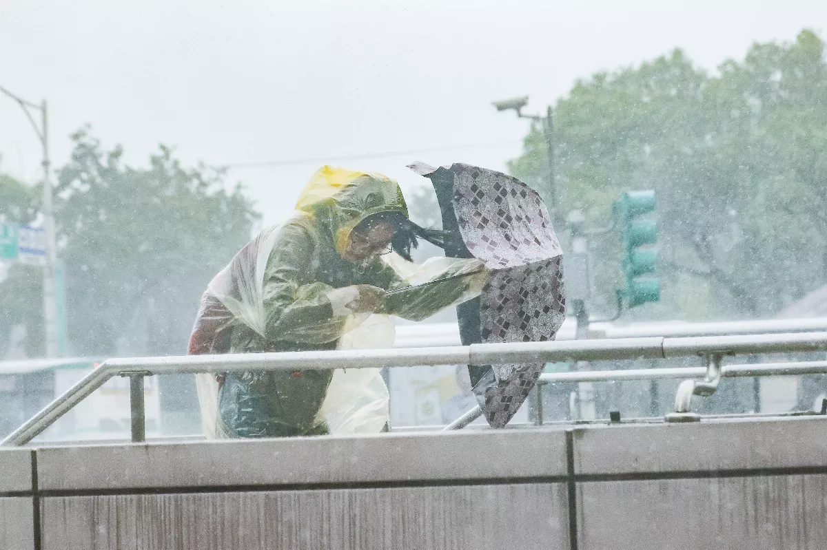 【女子生活學】颱風啟示