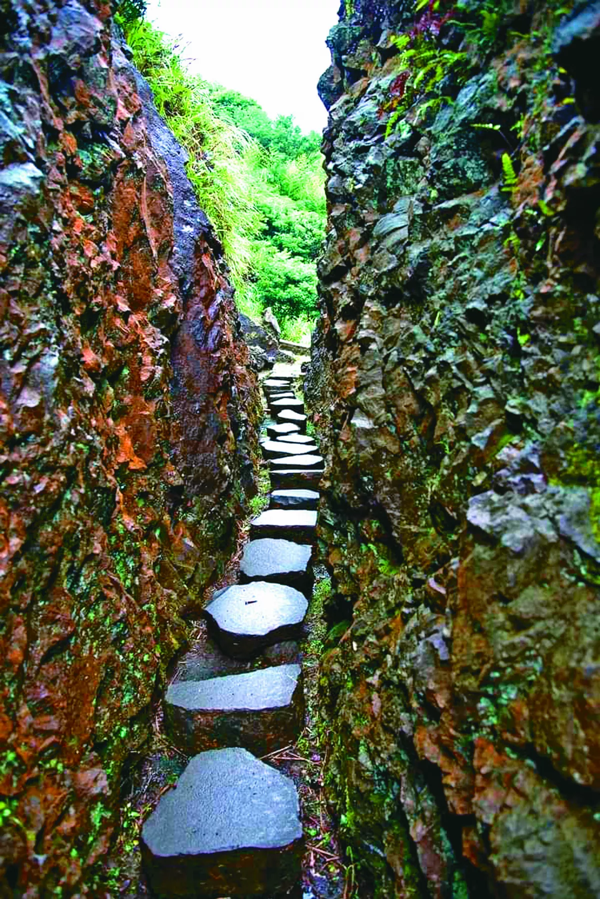 【生活快門】走出光明大道