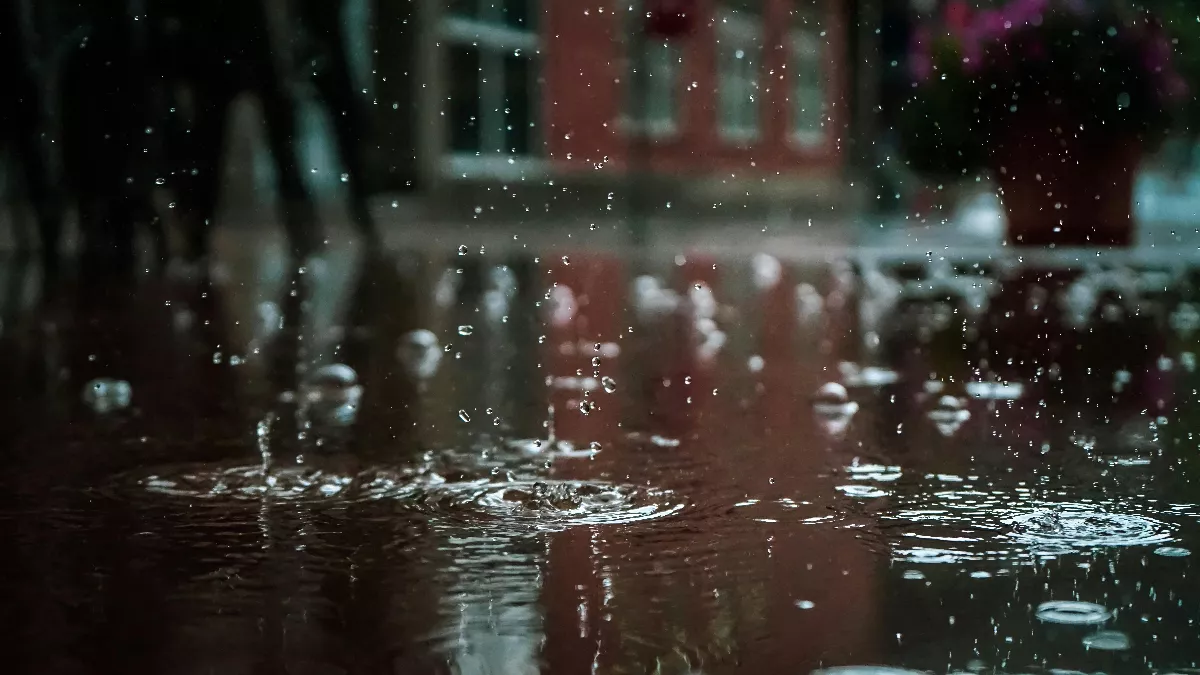 【創作花園】雨天的樂趣
