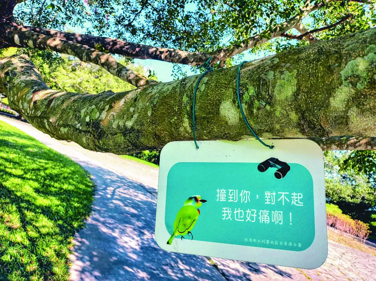 【生活快門】樹的心聲