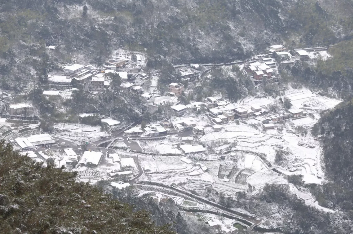 【日常速寫】霰