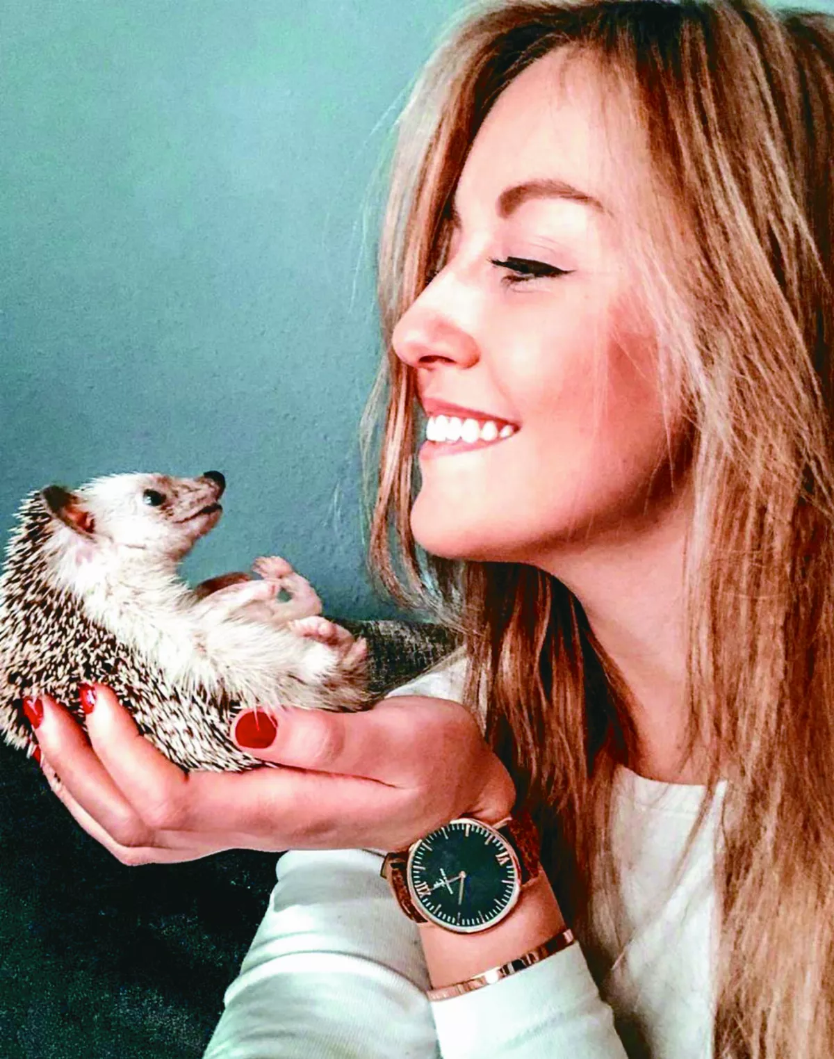 刺蝟冒險家 環遊世界給人歡喜