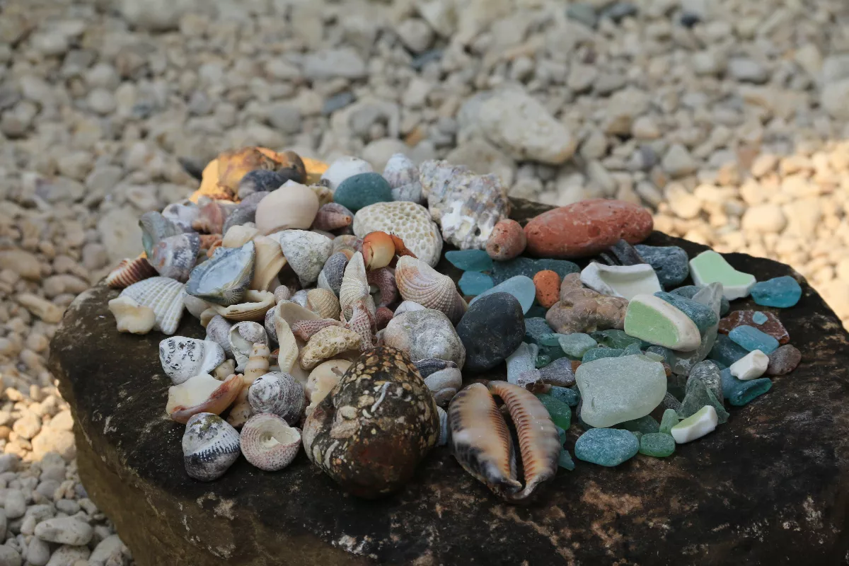 邂逅壽山 「淺山學堂」上山下海擁抱大自然