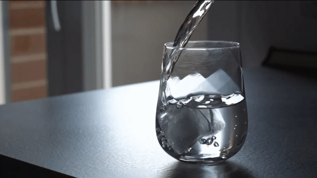 星雲說偈：以法自御