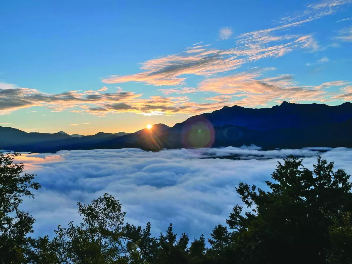 阿里山冬景