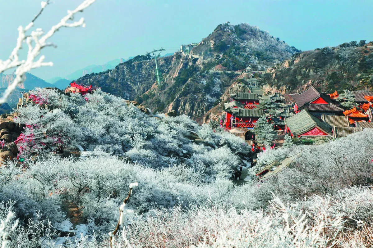 泰山之巔  霧淞迷人