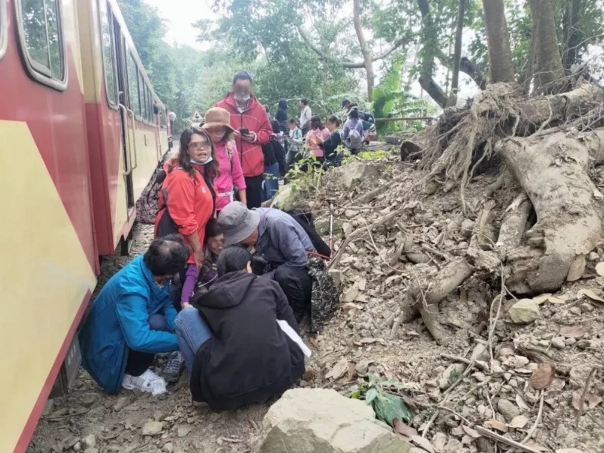遊客闖阿里山林鐵拍照 遭小火車撞傷將受罰