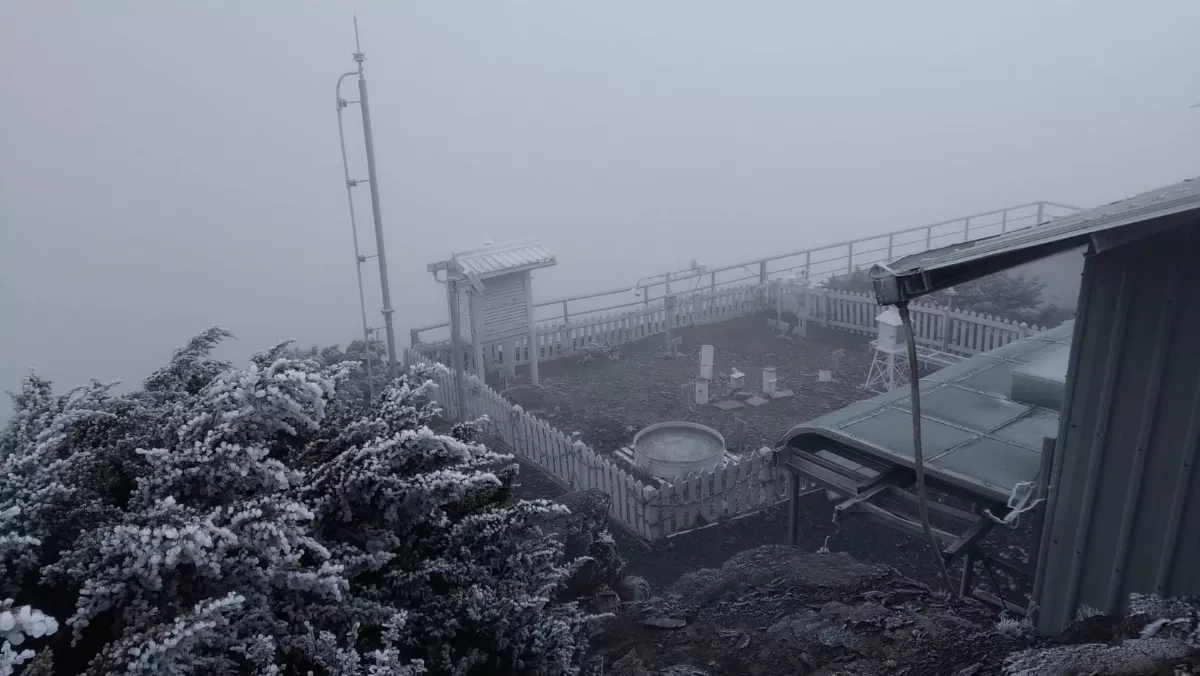冷氣團發威 玉山氣象站有霜與霧淞