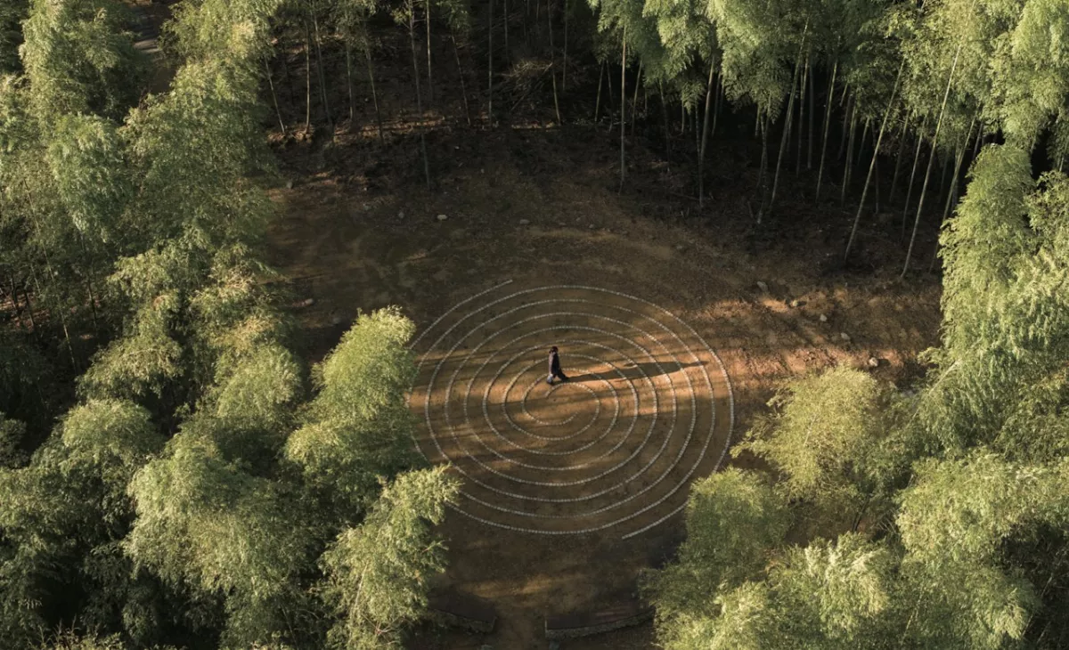 永續健康旅遊 草嶺森林療癒季開幕