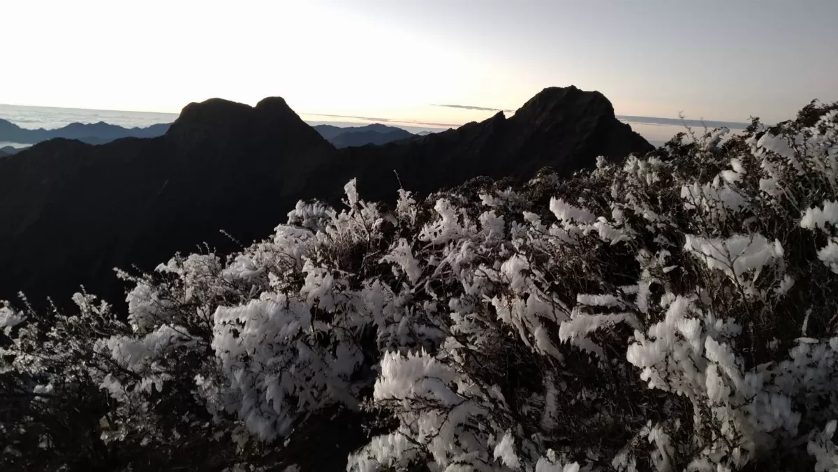 低溫美景 玉山出現霜淞