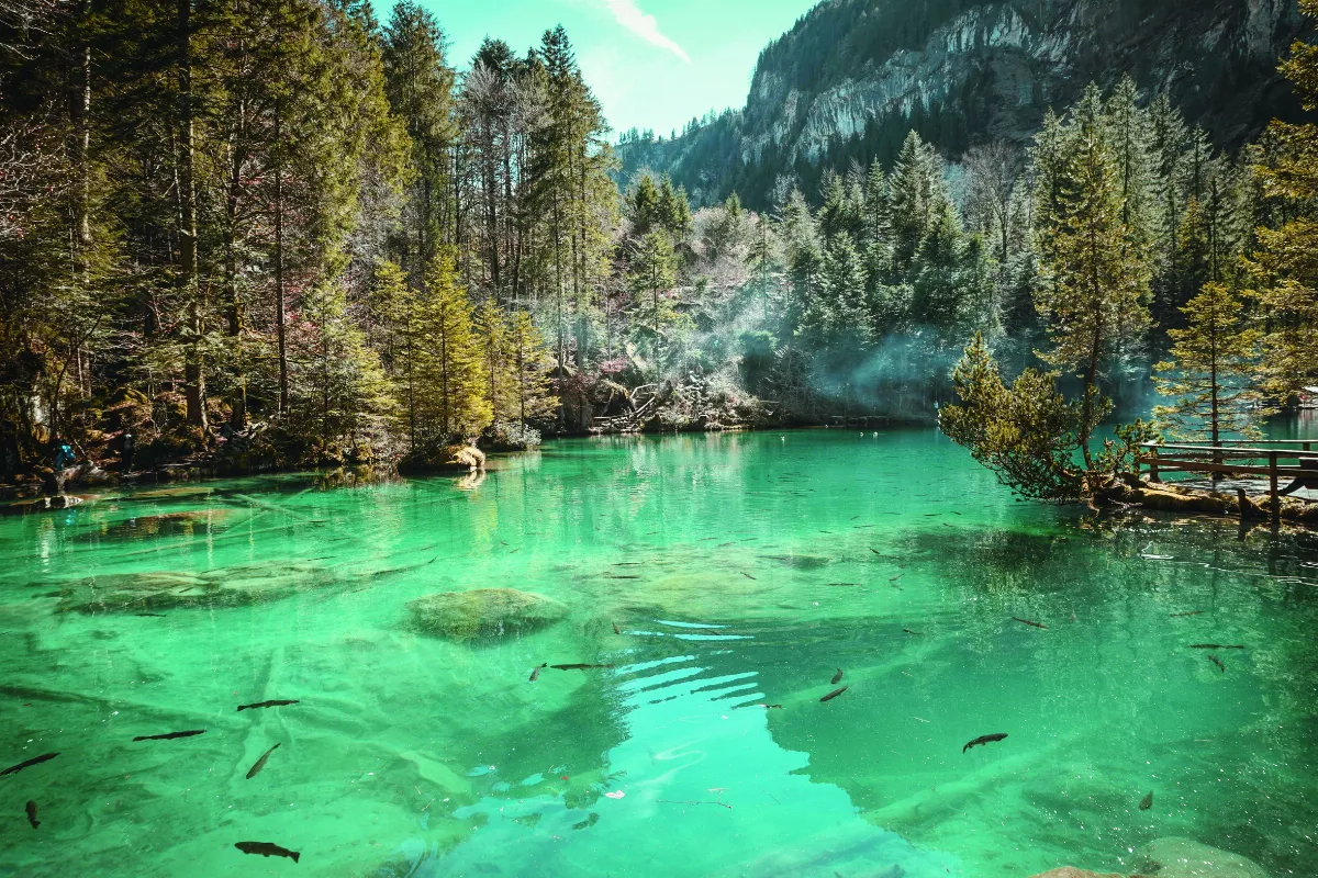 星雲大師全集⑲【佛教管理學①】《阿彌陀經》的管理學①