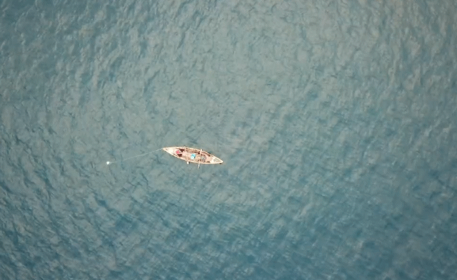 星雲說偈：人法無我