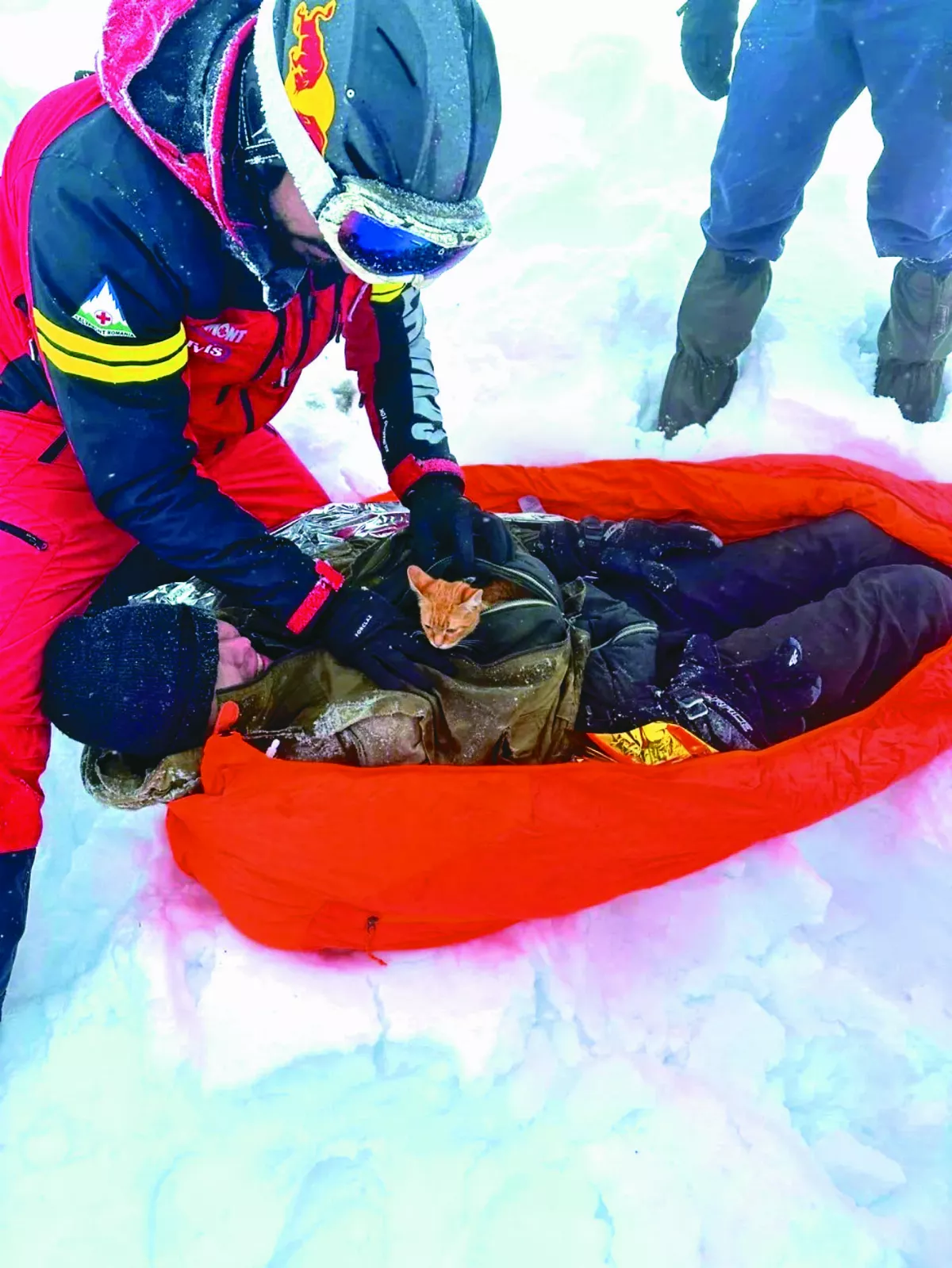 男子困雪山  與貓互取暖奇蹟獲救