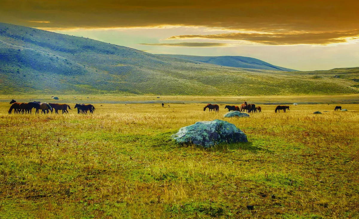 星雲大師全集⑲【佛教管理學①】《阿彌陀經》的管理學③