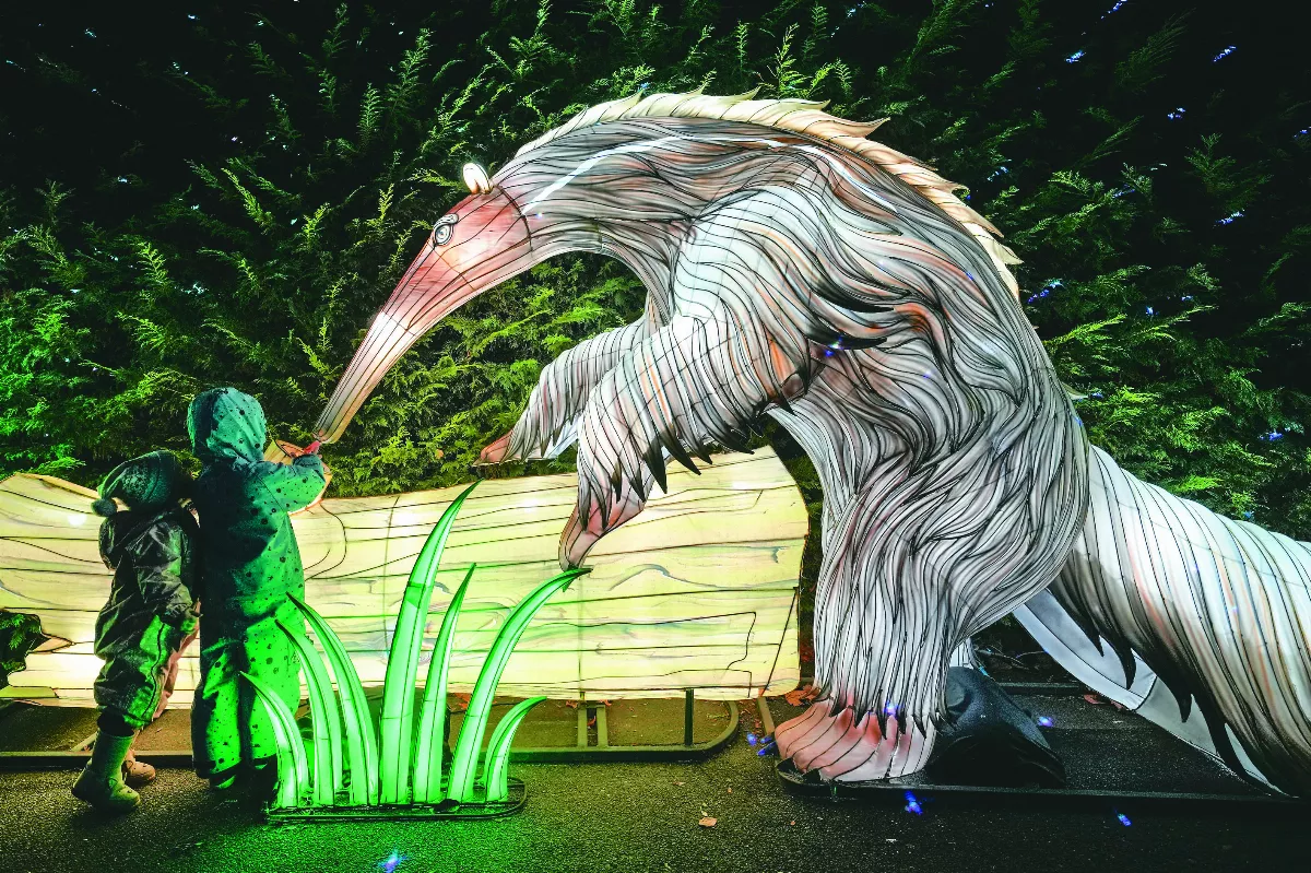 德國動物園燈光節 愈夜愈美麗