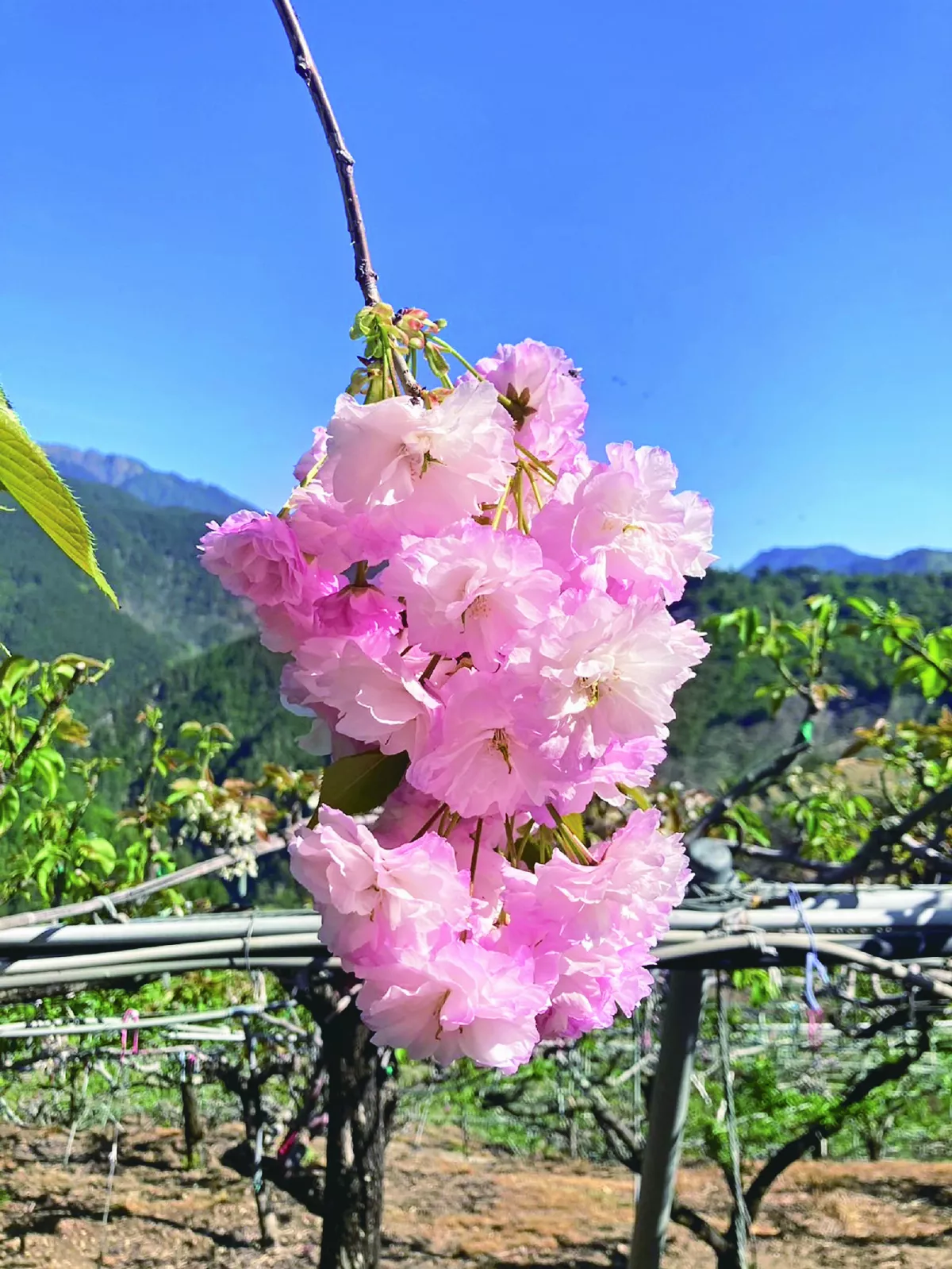 那年冬天