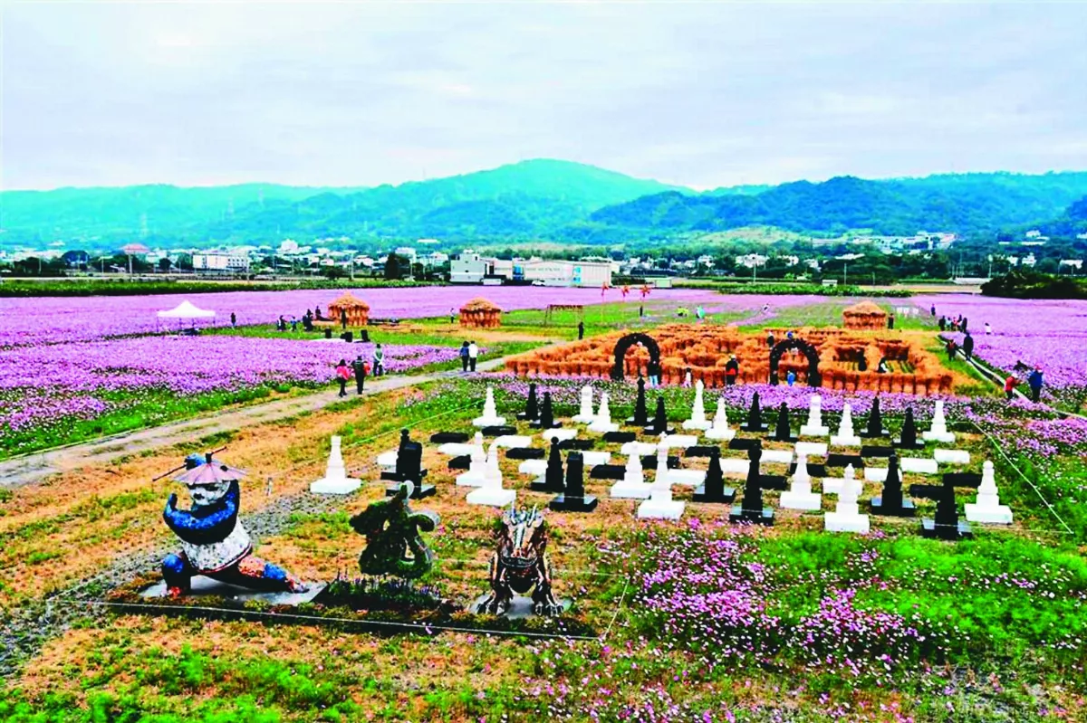 望高瞭花海季  暢遊稻草迷宮