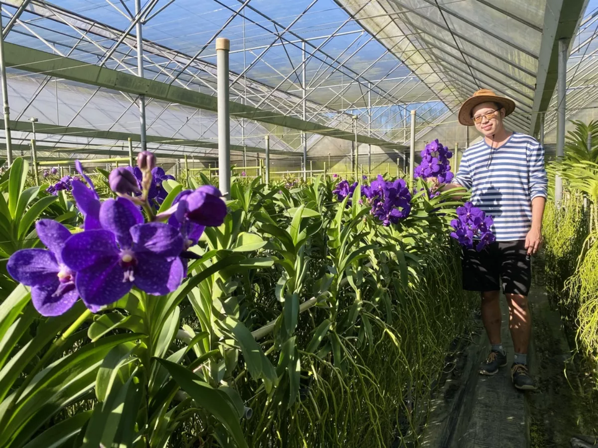 走在夢想路上 用花卉鮮果、人文打造創生農藝