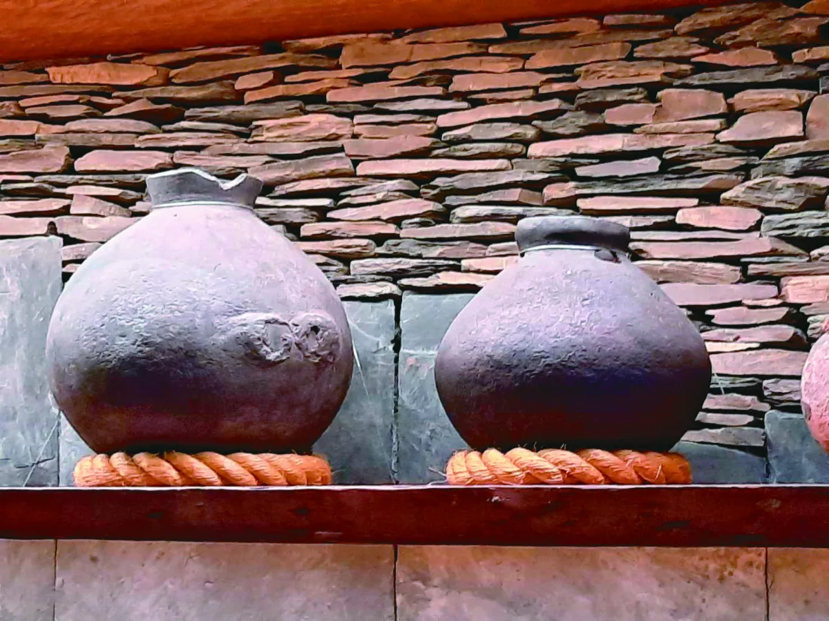 【島嶼拼圖】國立台灣博物館