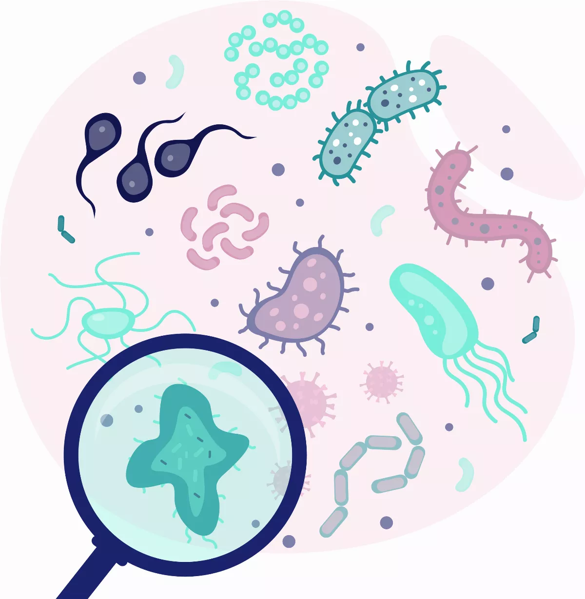 人體微生物 是一個器官？
