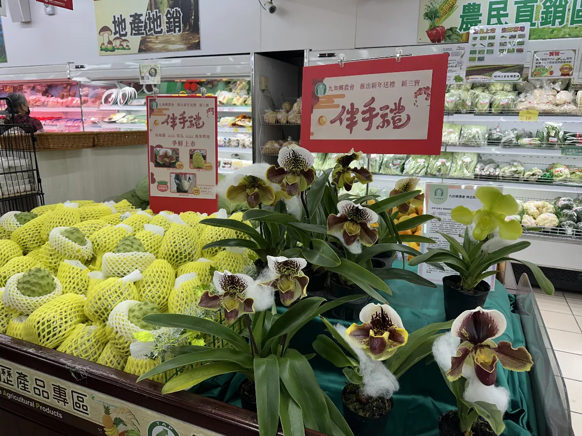 送禮新三寶！九如推仙履蘭、阿露斯與鳳梨釋迦