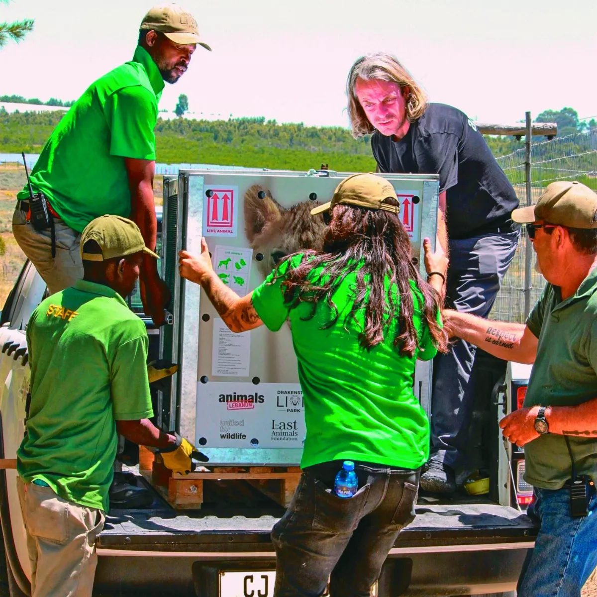 黎巴嫩受虐幼獅 逃離戰火獲新生 