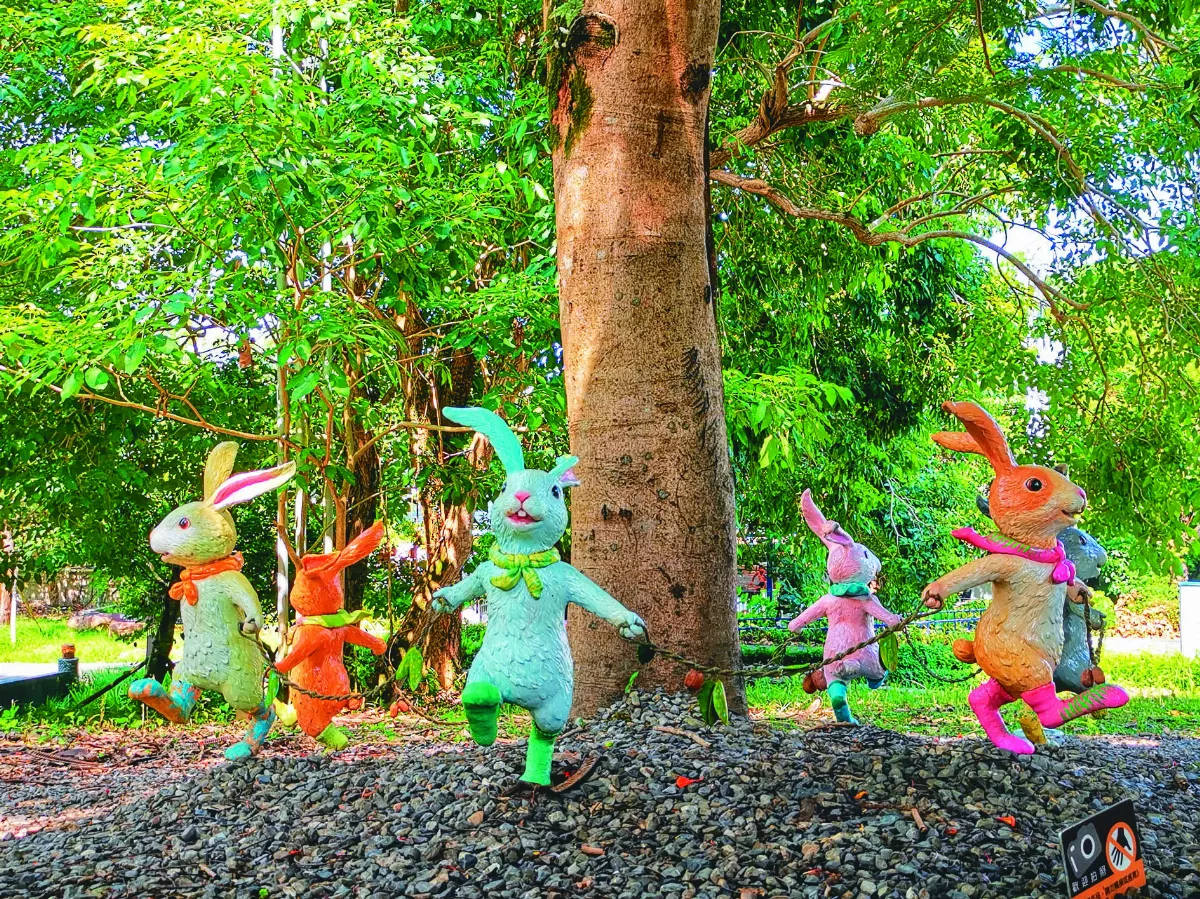 【印象旅人】旅人廊道遇見毛毛兔