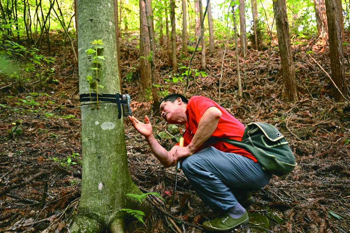 擴大陸上保護區 緩解物種滅絕
