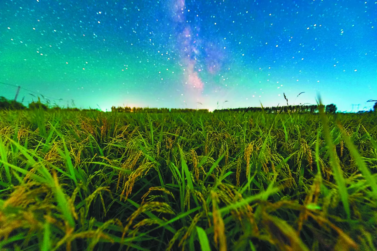 拍攝星空下糧倉 守護家鄉之美