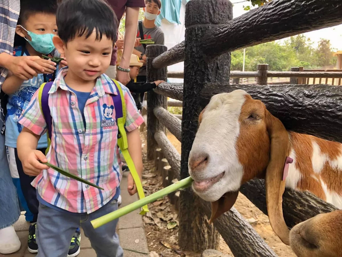 跨年去哪玩？高市推出2025元旦遊程