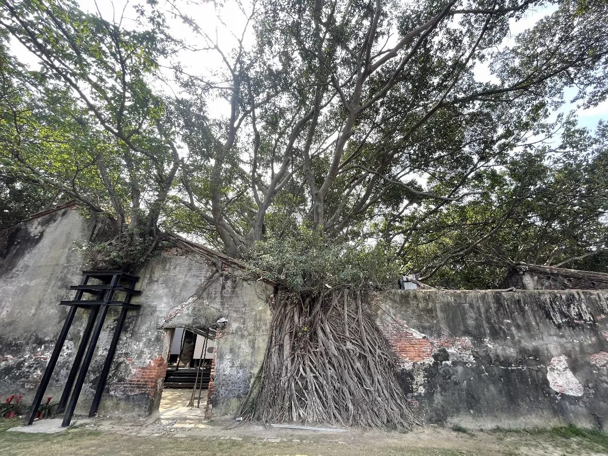 亞洲最佳8個旅行地 全台僅這裡上榜