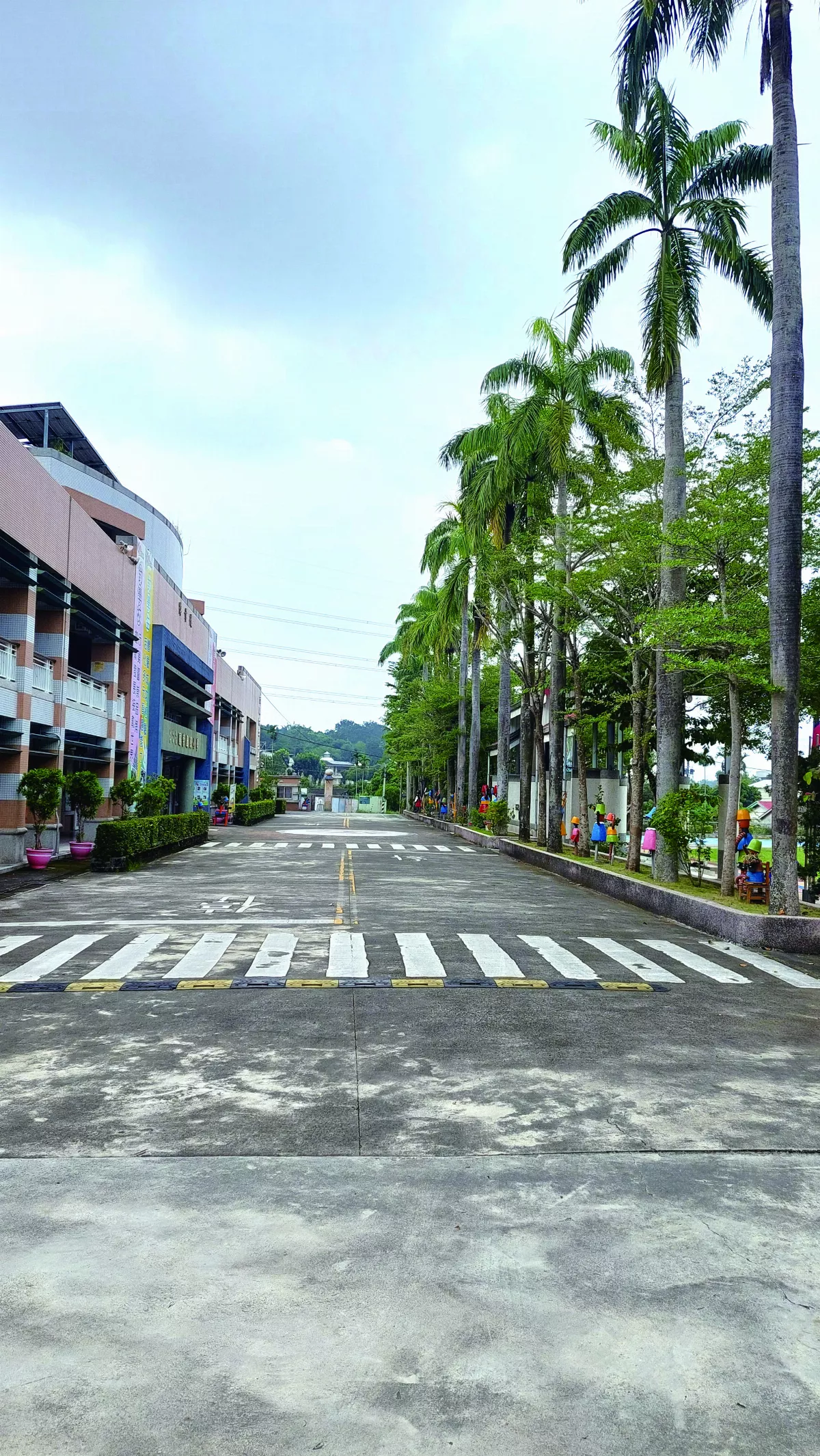 【生活快門】椰林大道