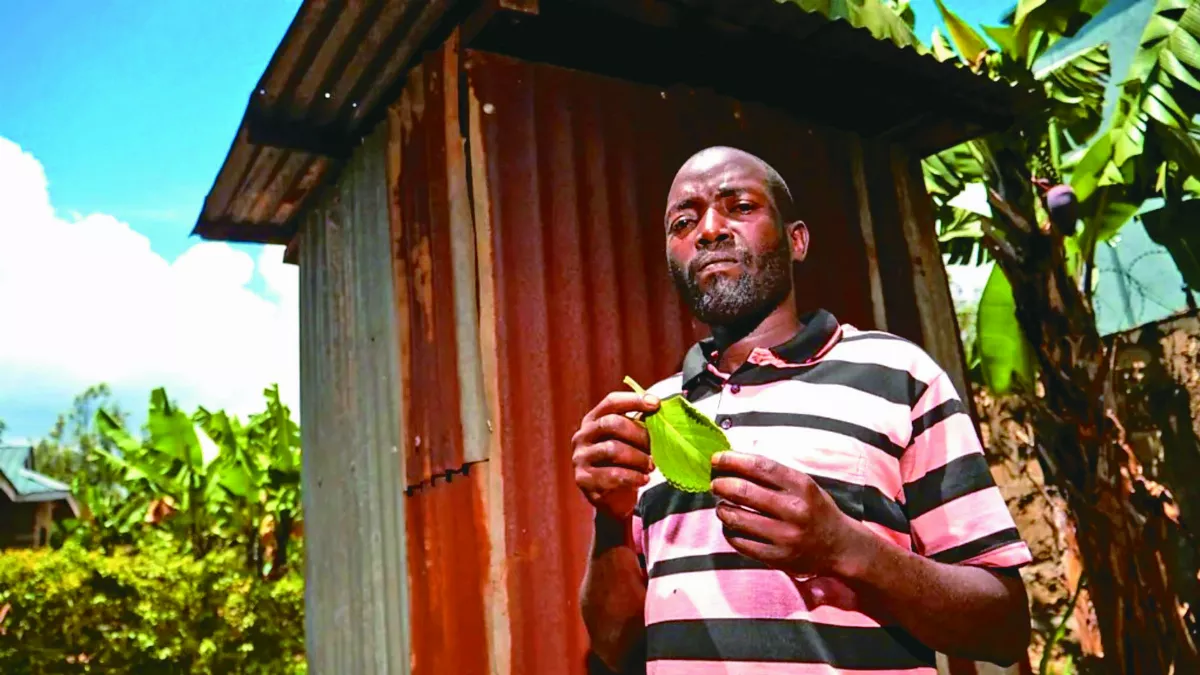 自種衛生紙 實踐環保永續