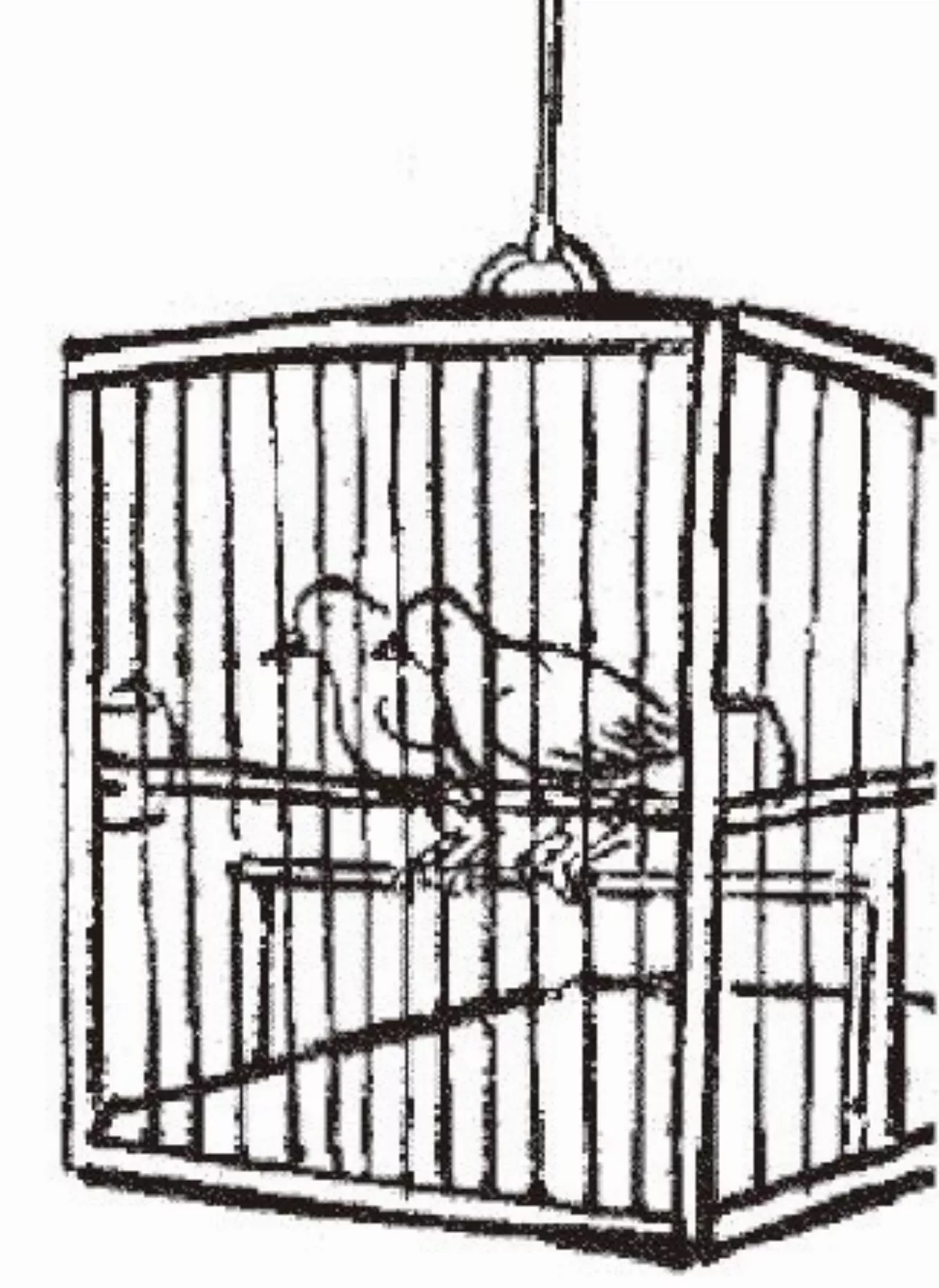 【護生畫集】團圞