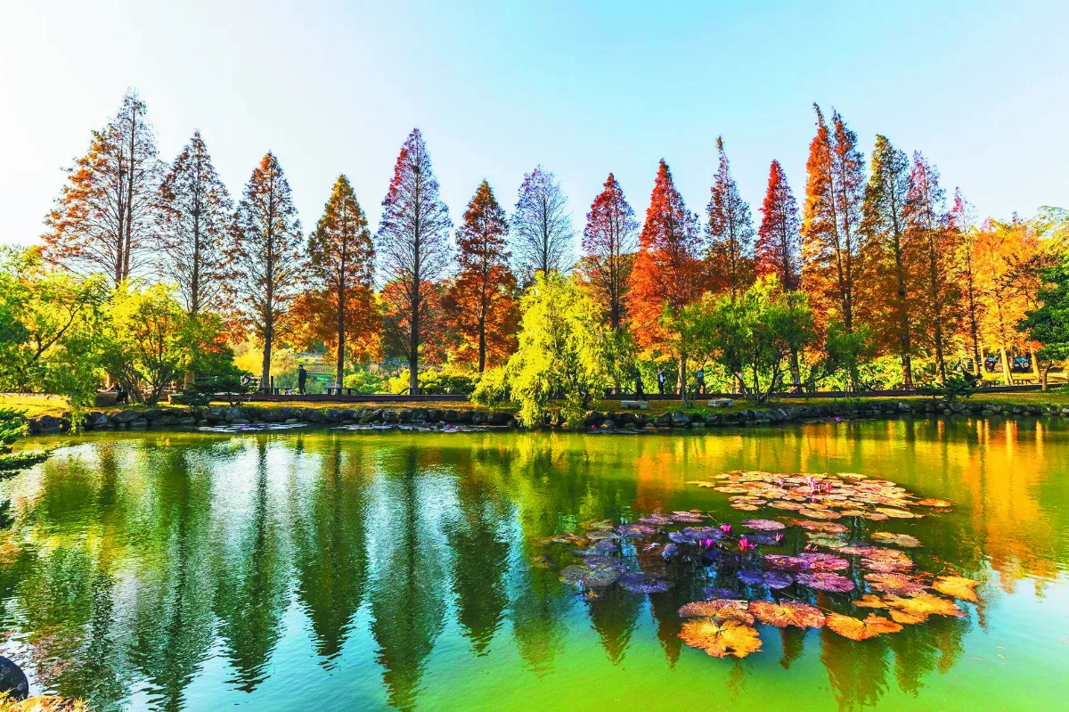 新竹北埔 湖光松影
