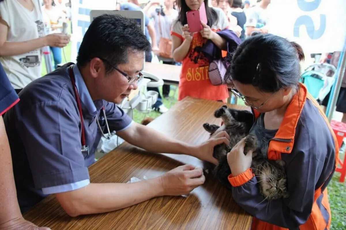農業部號召獸醫寵物美容師 為毛小孩義剪、義診