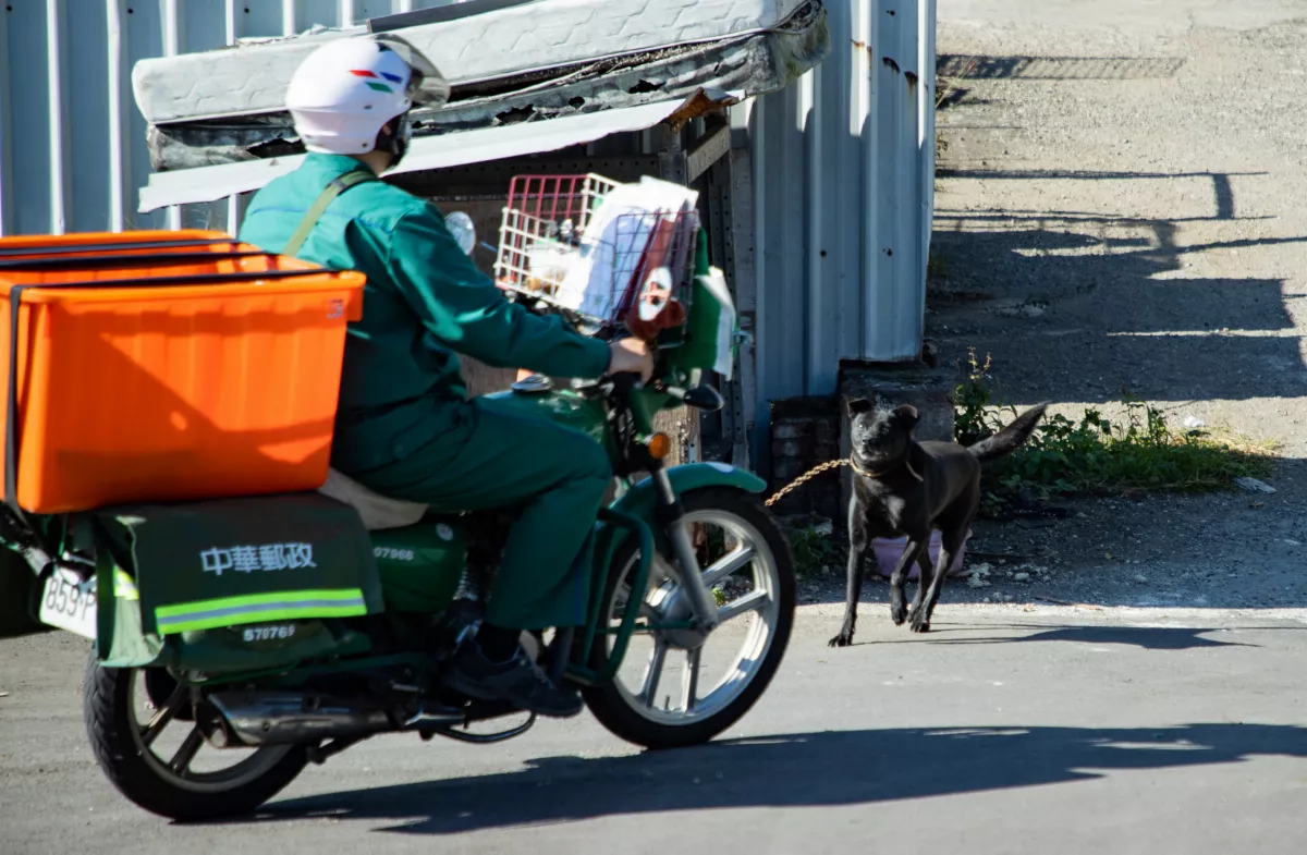 春節前注意郵遞時效 非快捷郵件需提前寄送
