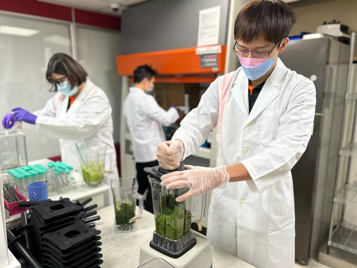 春節將至 新北果菜公司加強蔬果抽驗