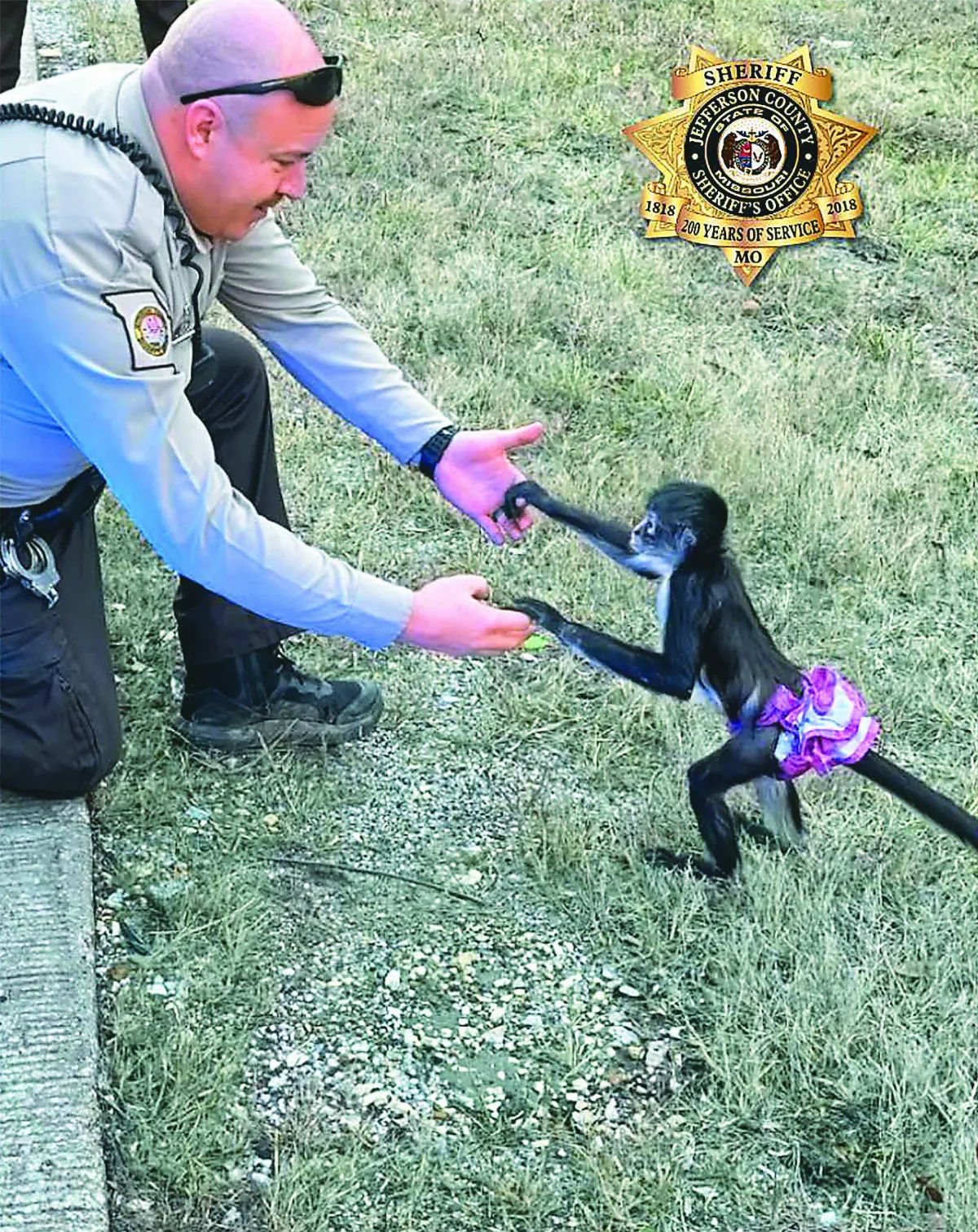 冬季風暴來襲 暖警救援逃家猴