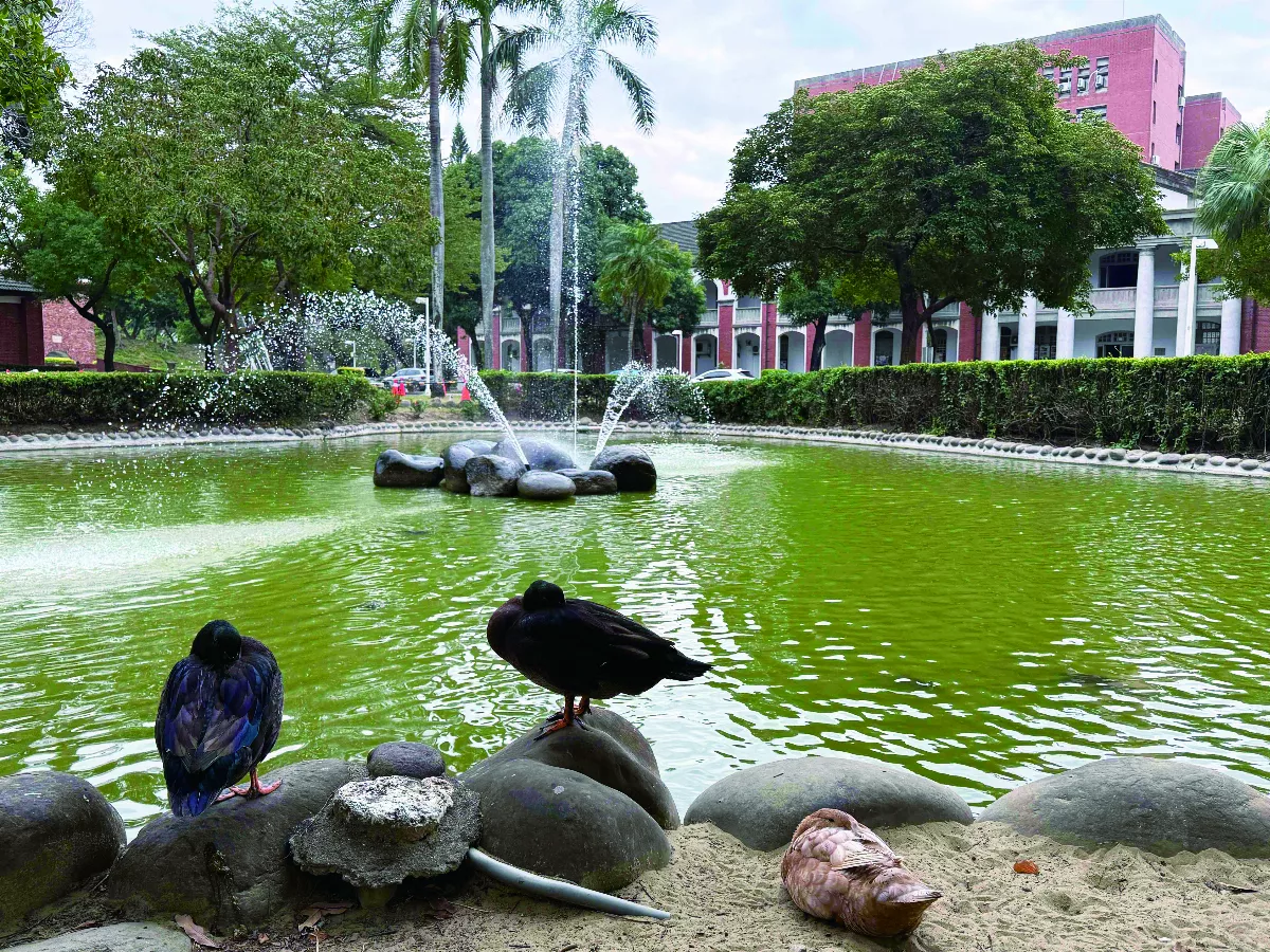 【海闊天空】賞花 拍花 吃花 遊趣盡在視覺感覺中