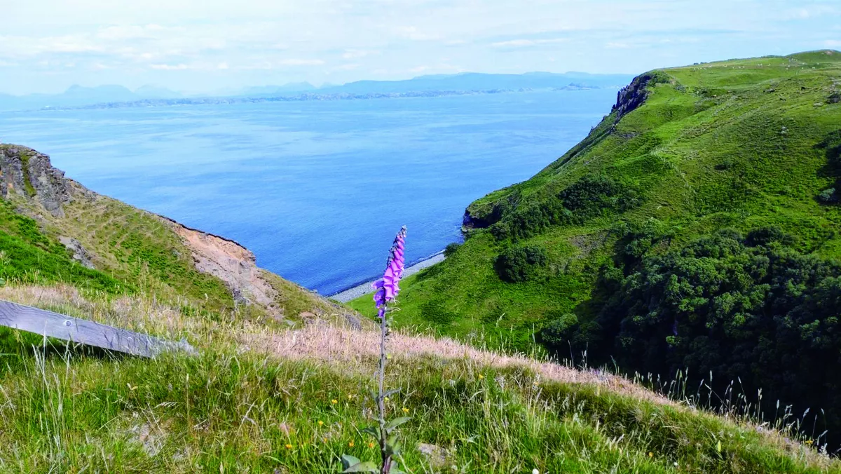 【詩】 畫花與那時