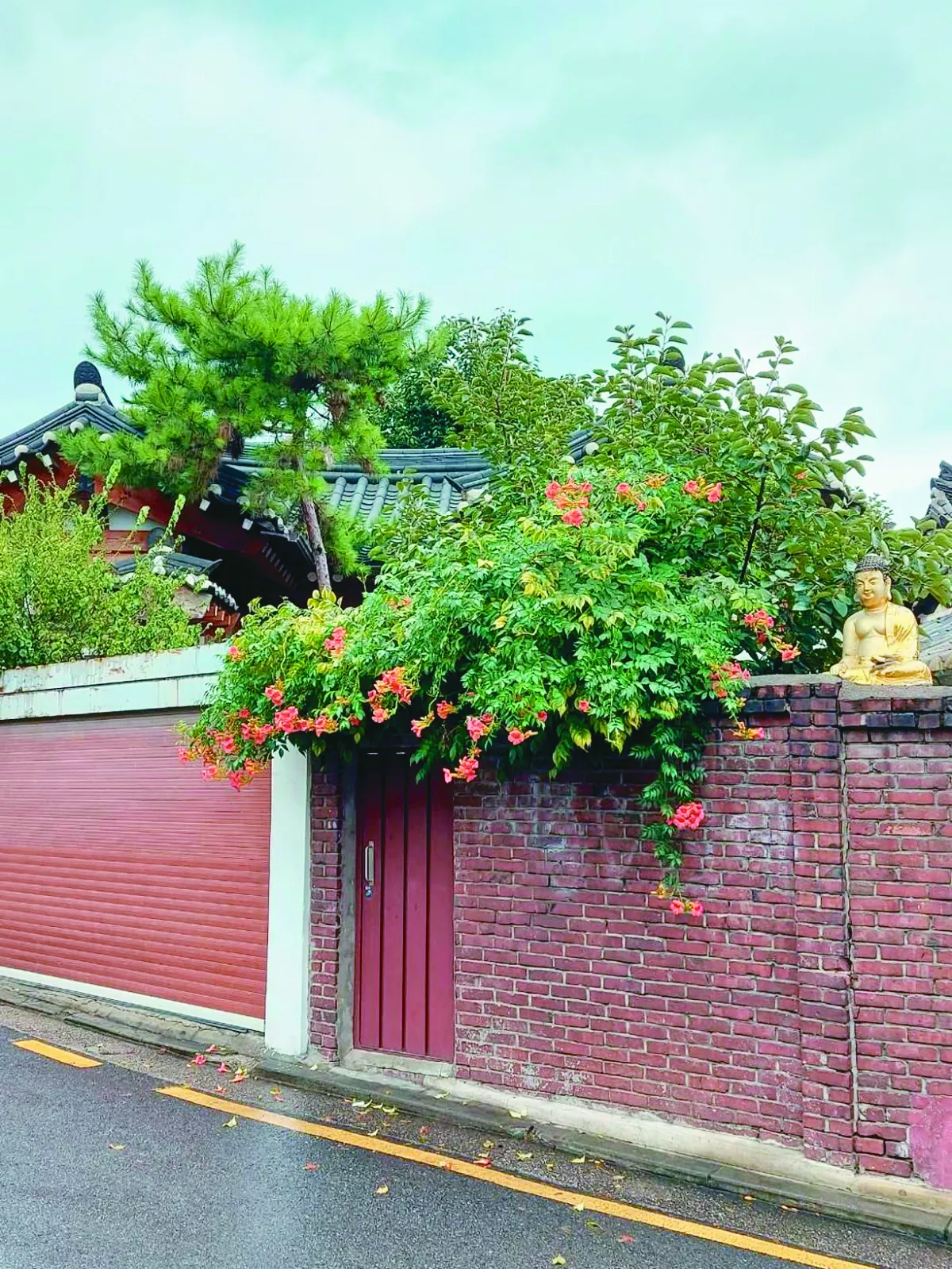 【生活快門】花現佛影
