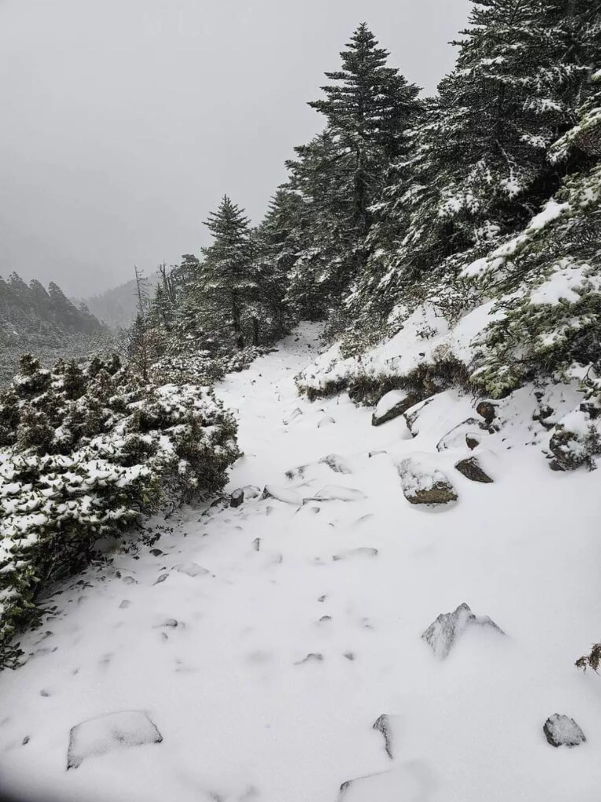 雪山主東線飄瑞雪 雪霸處傳授高山禦寒5要訣