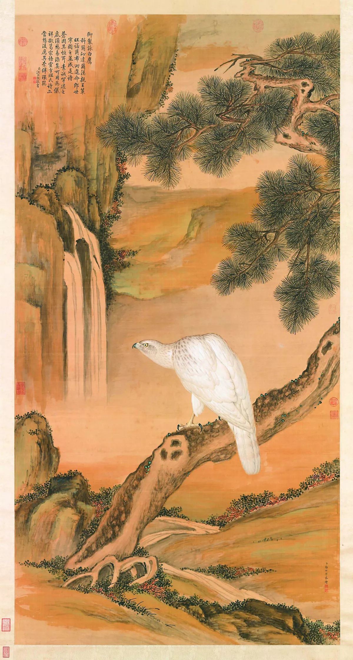 故宮南院群生藝相展  揭祕動物符碼