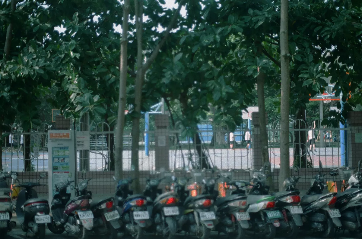 仁義陸興等3私校列專輔 期限未改善退場