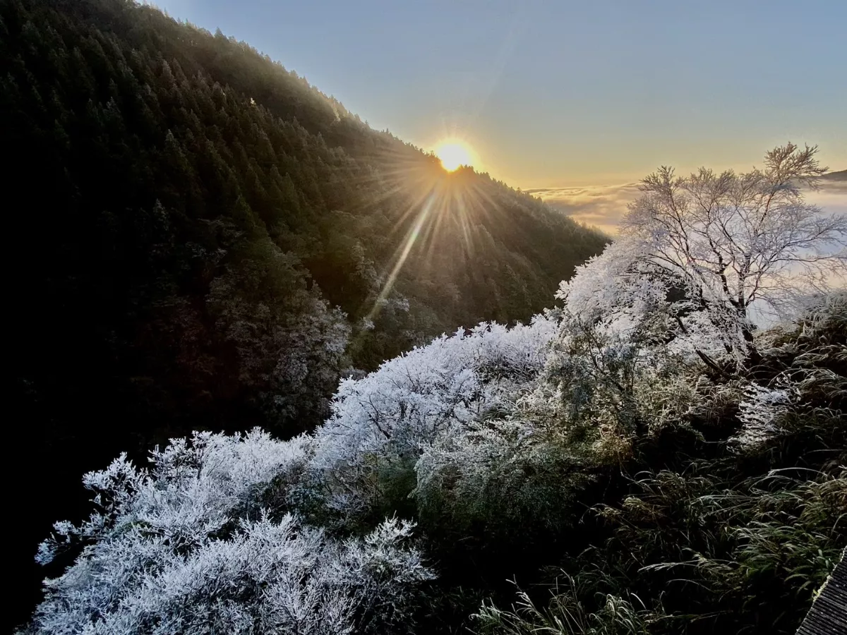 霧淞搭配雲海及日出 太平山美景如畫