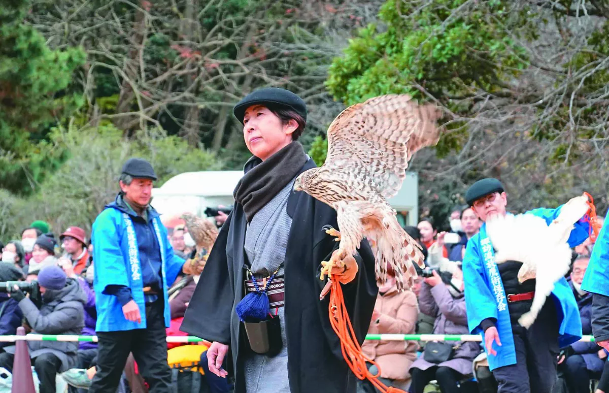 傳承1650年  日放鷹術表演迎新年