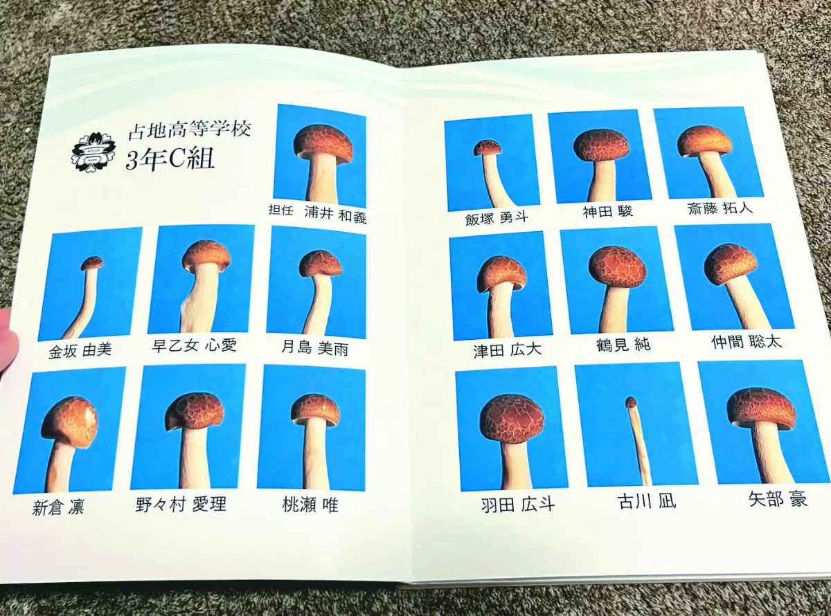幫菇取名、拍畢業照  吸引70萬人點讚