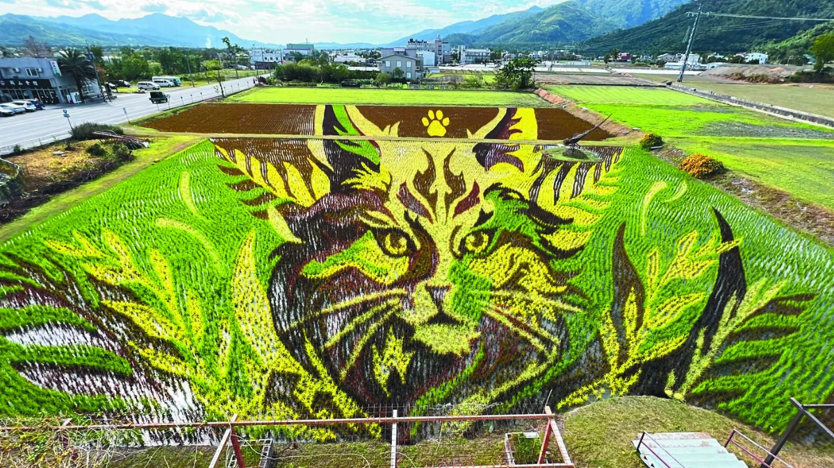 神喵報稻 歡慶春節