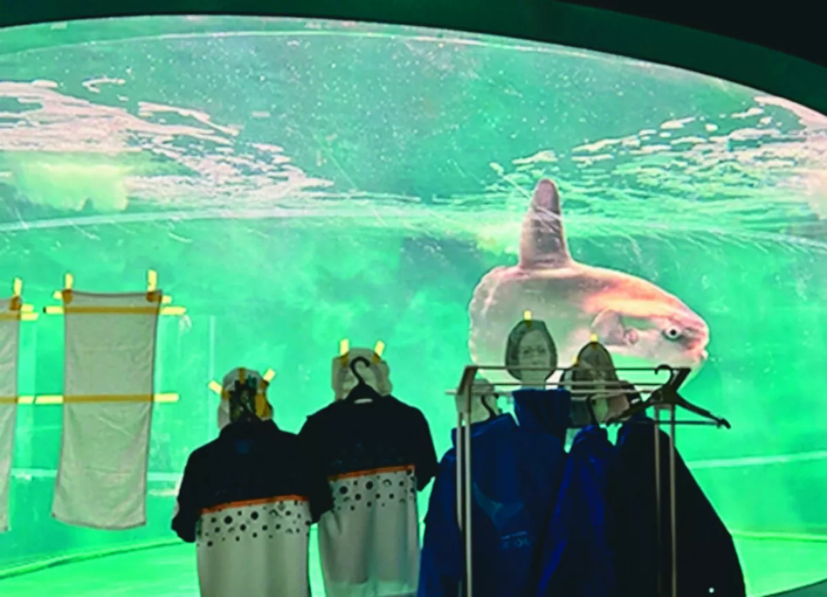 水族館擺假遊客  治癒翻車魚抑鬱